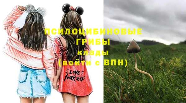 стафф Покровск