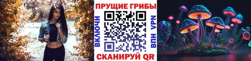 Галлюциногенные грибы прущие грибы Сосновка
